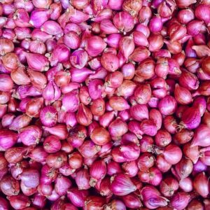 Red Shallots