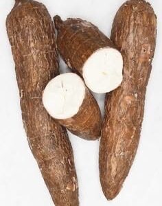 Cassava / Tapioca