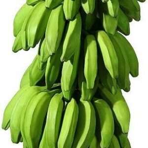 Green Banana
